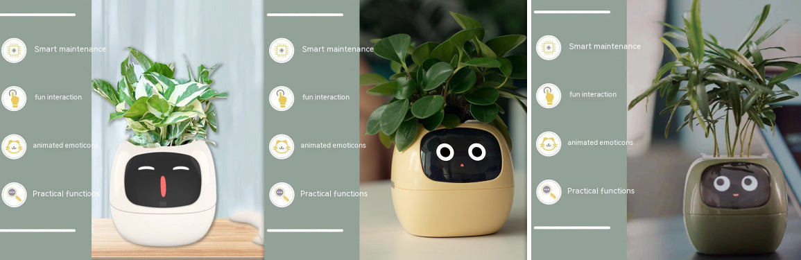Smart Planter.