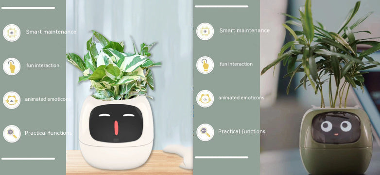 Smart Planter.