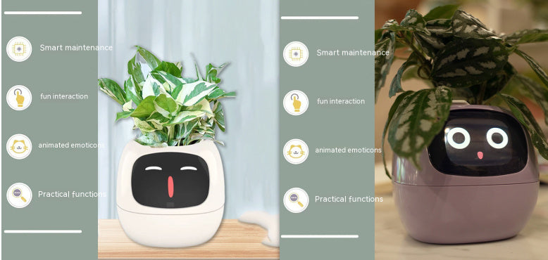 Smart Planter.