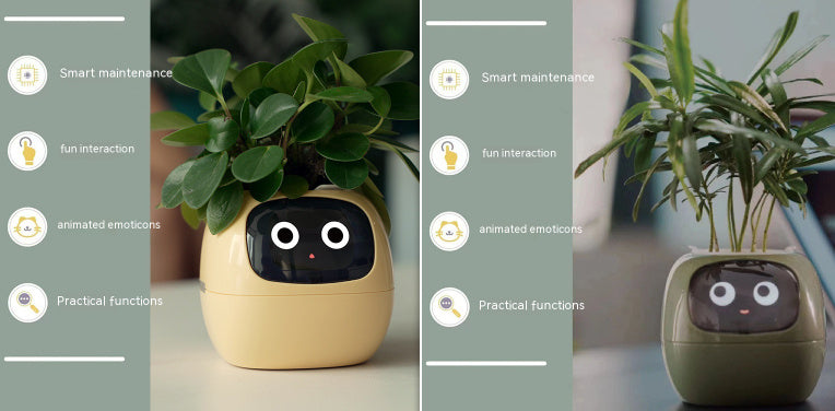 Smart Planter.