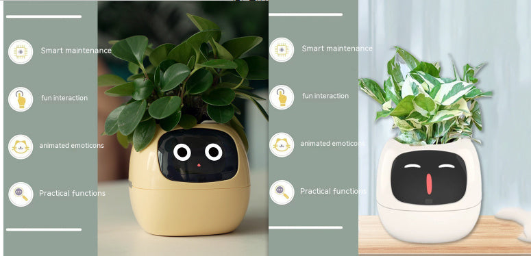 Smart Planter.