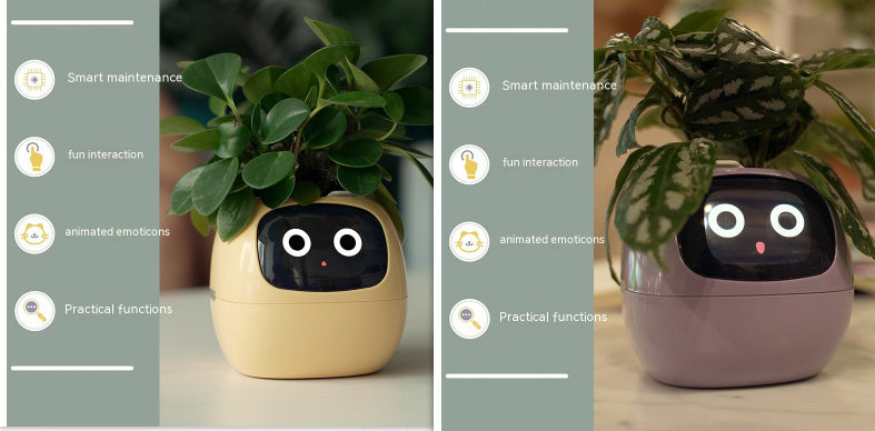Smart Planter.