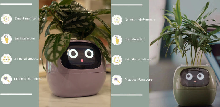 Smart Planter.