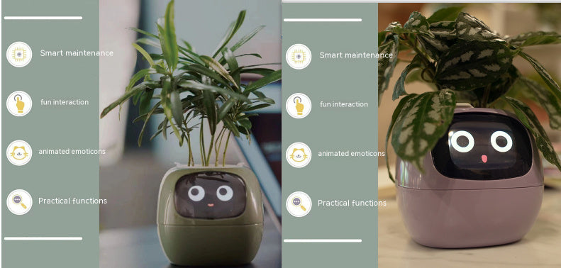Smart Planter.