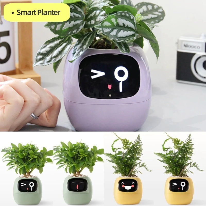 Smart Planter.
