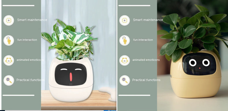 Smart Planter.