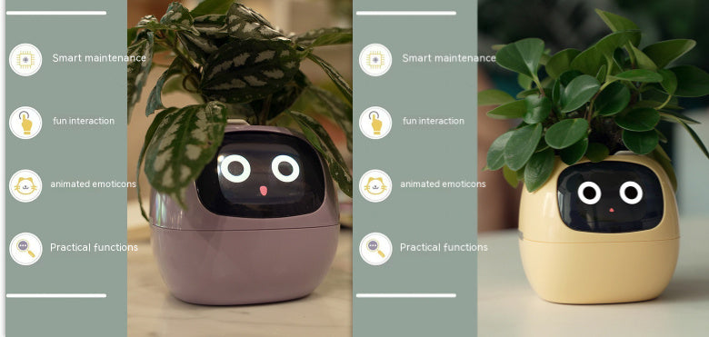 Smart Planter.