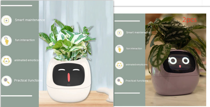 Smart Planter.