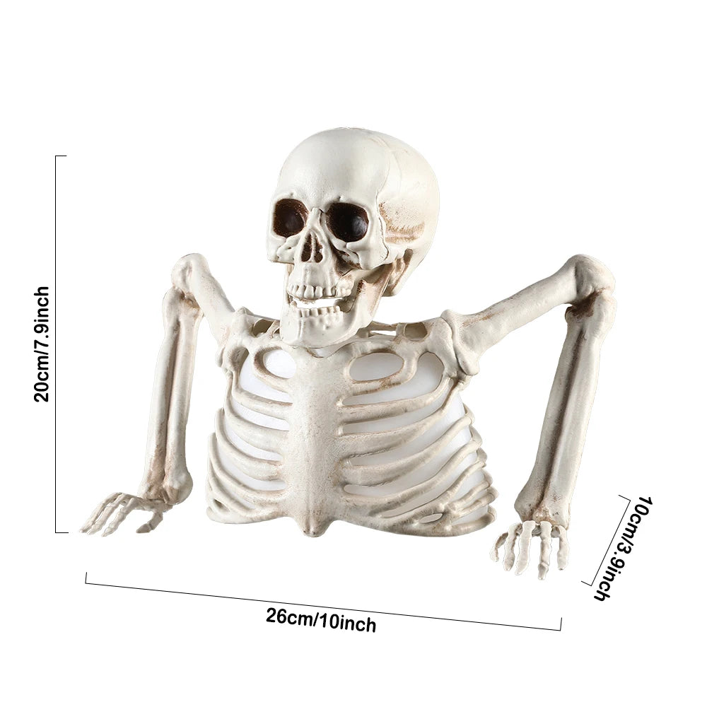 Halloween Decorations Glowing Skull Skeleton