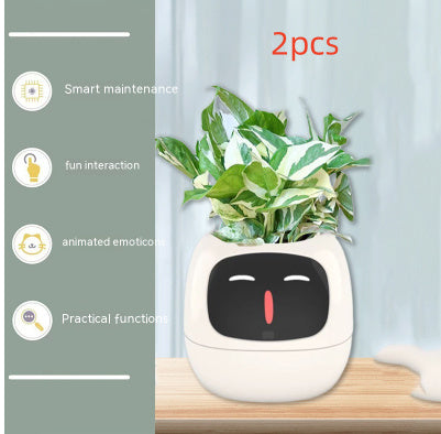 Smart Planter.