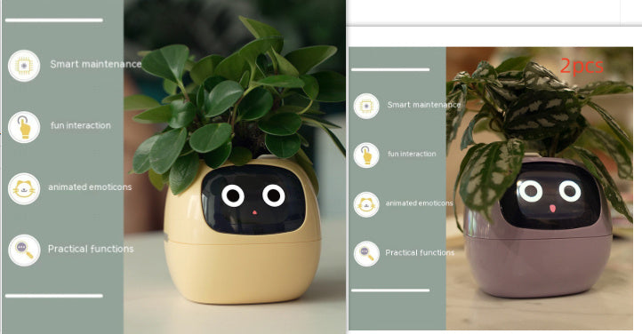 Smart Planter.