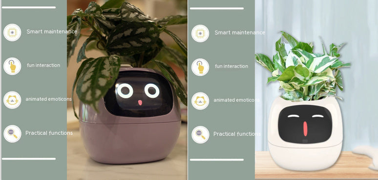 Smart Planter.