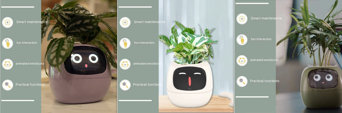 Smart Planter.