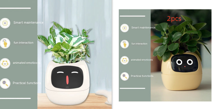 Smart Planter.