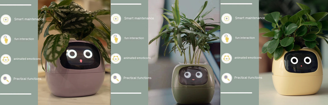 Smart Planter.