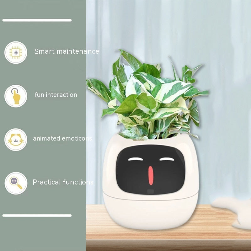 Smart Planter.