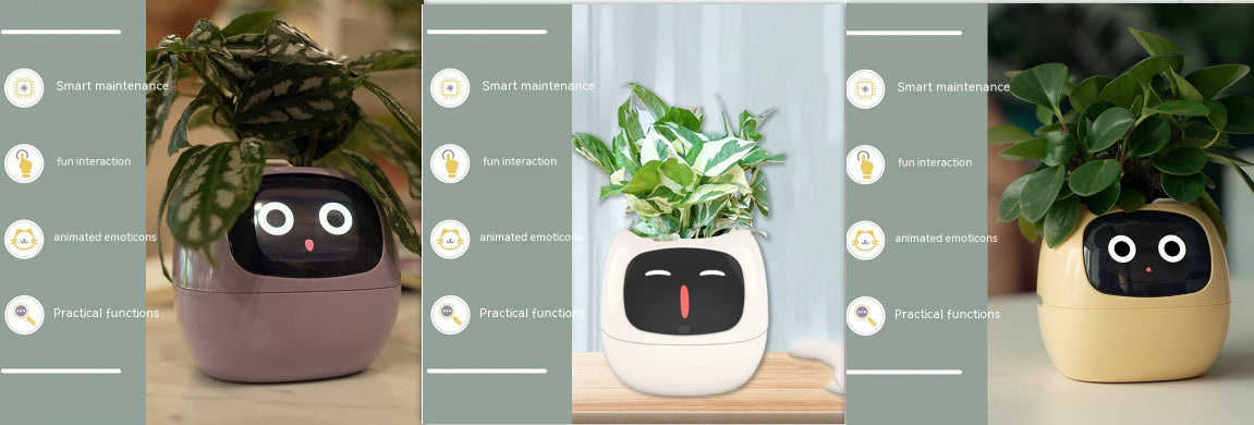 Smart Planter.