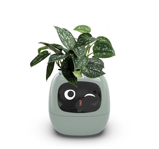 Smart Planter.